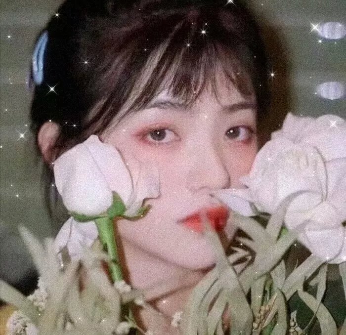 侠客无名