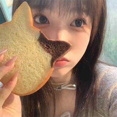 龙猪飞上天