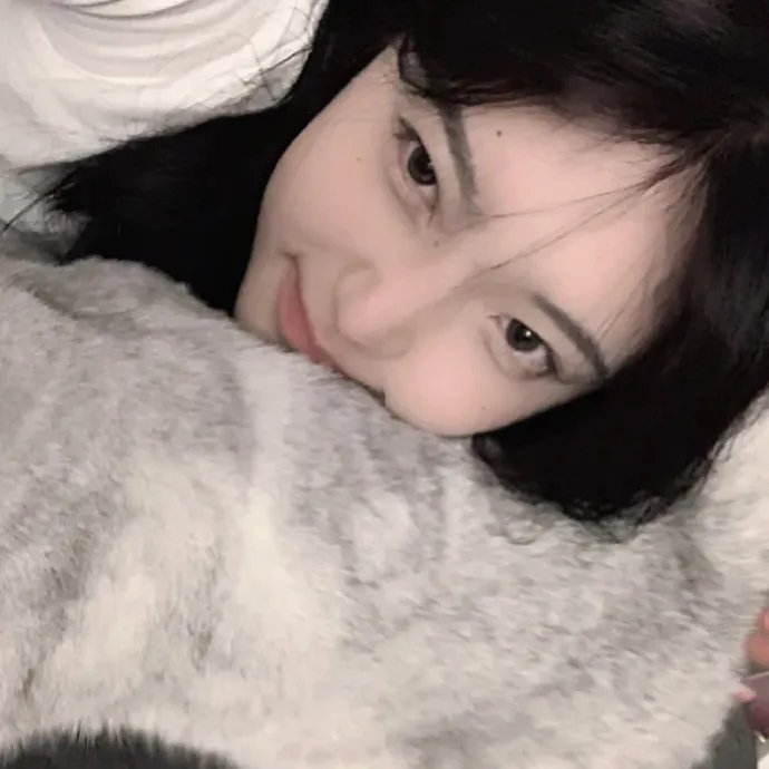 飞贼黑猫